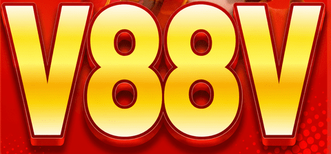 vnv88v.com